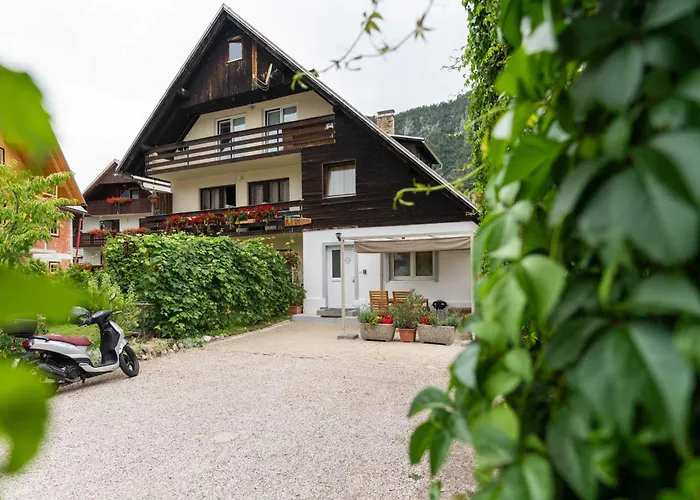 Studio Maria With Free Parking